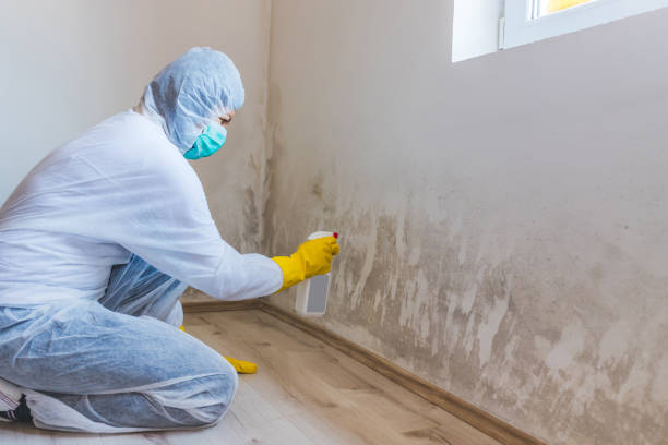 Licensed Crawl Space Mold Removal service in Spring Grove, VA - WQB Mold Removal