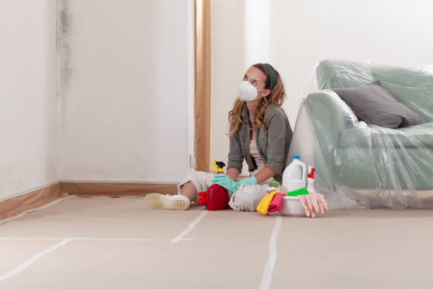 Reliable Crawl Space Mold Removal contractor in Spring Grove, VA by WQB Mold Removal